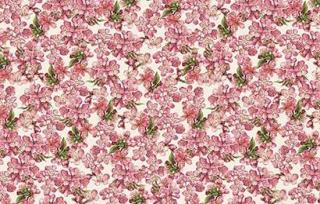 Papier 70X100 Fiori di Pesco - kwiaty brzoskwini