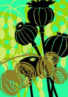 Greetengs Card Seed Pod