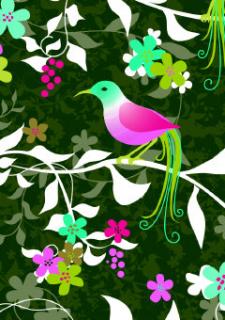Greetings Card Midnight Bird