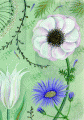 Greetigs Card Serenity