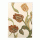 Fiore liberty